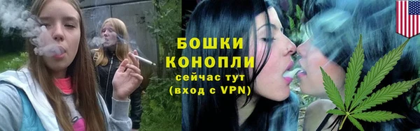apvp Иннополис