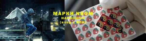 крисы Инта