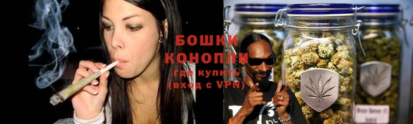крисы Инта