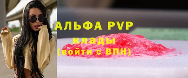 крисы Инта