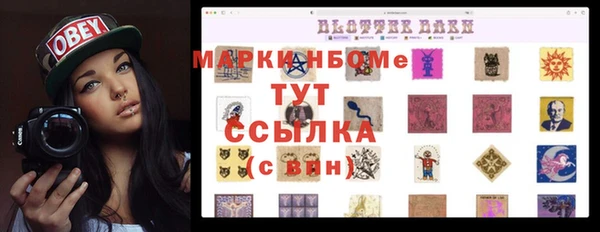 apvp Иннополис