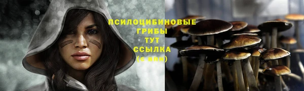 apvp Иннополис