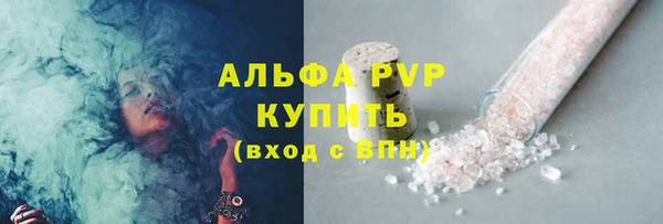 крисы Инта
