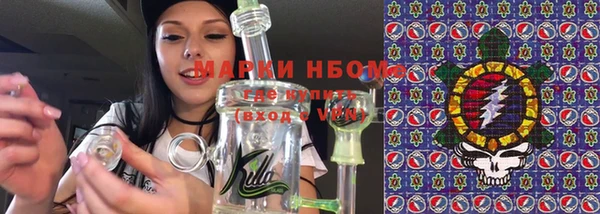 крисы Инта