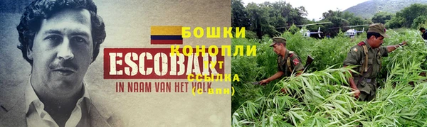 apvp Иннополис