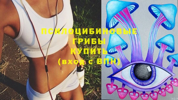 МДМА Инсар
