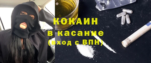 крисы Инта